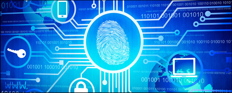 Biometric Technology Promotes Border Security Control