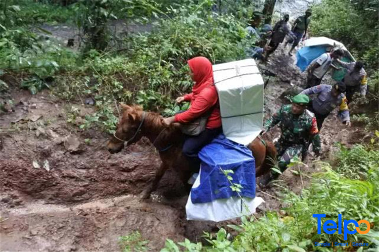 Indonesian Elections Use Elephants and Horses to Transport Ballot Boxes? Telpo Smart Terminals Can Assist Elections