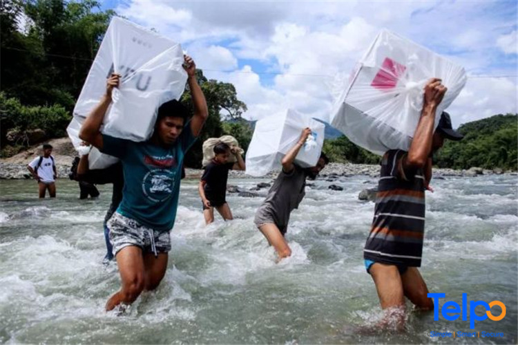 Indonesian Elections Use Elephants and Horses to Transport Ballot Boxes? Telpo Smart Terminals Can Assist Elections